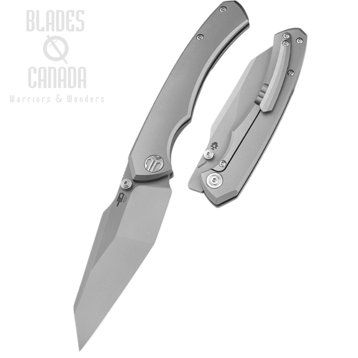 Bestech Clastic Framelock Folding Knife, MagnaCut, Titanium White Bead Blast, BT2407C