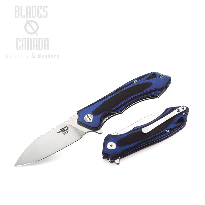 Bestech Beluga Flipper Folding Knife, D2 Two-Tone, G10 Blue/Black, BG11G-2