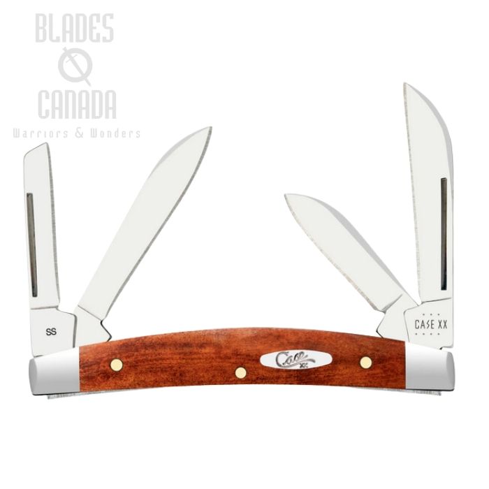 Case Small Congress Slipjoint Folding Knife, Stainless Steel, Chestnut Bone, 28911