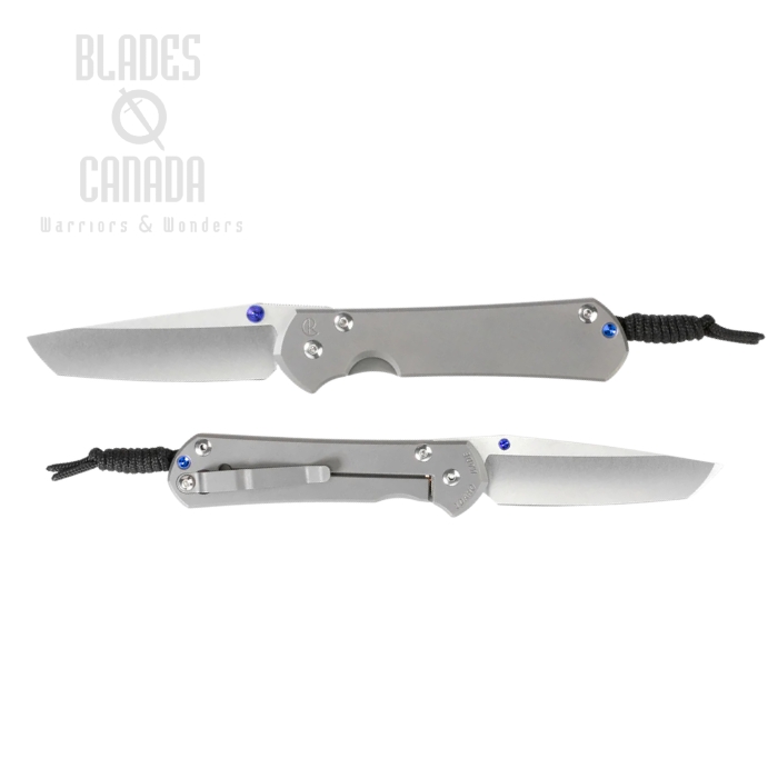 Chris Reeve Large Sebenza 31 Tanto Framelock Folding Knife, MagnaCut SW, Titanium Sand Blasted, L31-1010 (image for) Chris Reeve Large Sebenza 31 Tanto Framelock Folding Knife, MagnaCut SW, Titanium Sand Blasted, L31-1010