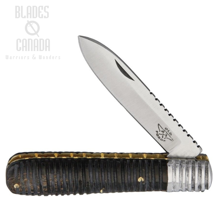 Old Forge Barlow Folding Knife, Stainless, Buffalo Horn Handle, OF009