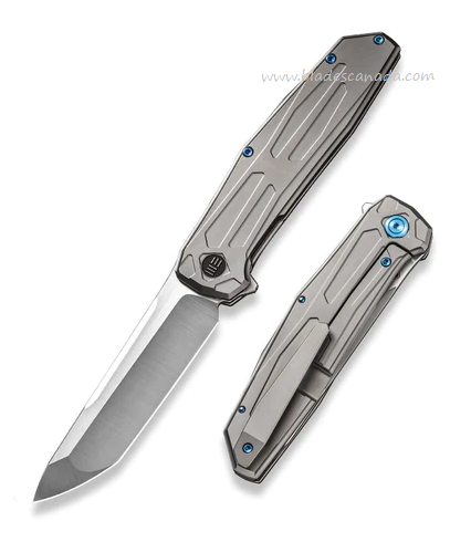 WE Knife Shadowfire Flipper Framelock Knife, CPM 20CV Satin, Titanium Gray, 22035-2