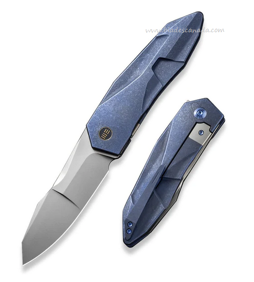 We Knife Solid folding knife WE22028