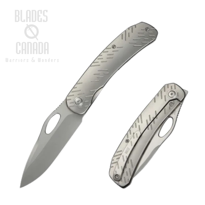 WE Knife Inmate Front Flipper Folding Knife, CPM 20CV SW, Titanium Gray, 23096B-1 WE Knife Inmate Front Flipper Folding Knife, CPM 20CV SW, Titanium Gray, 23096B-1