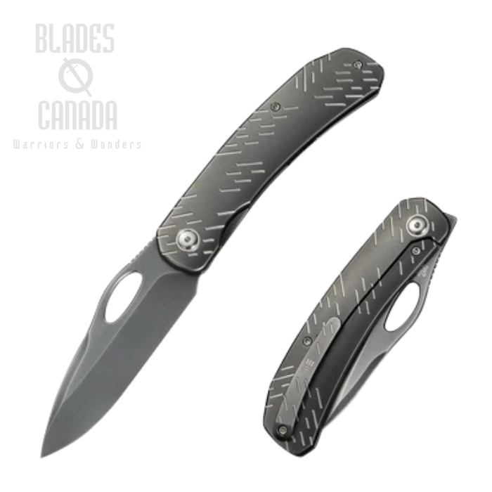 WE Knife Inmate Front Flipper Folding Knife, CPM 20CV Polished Gray, Titanium Gray, WE23096B-4 (image for) WE Knife Inmate Front Flipper Folding Knife, CPM 20CV Polished Gray, Titanium Gray, WE23096B-4