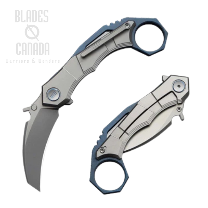 WE Knife Tayra Flipper Framelock Folding Knife, M390 Stonewash, Titanium Gray, WE24069-2 (image for) WE Knife Tayra Flipper Framelock Folding Knife, M390 Stonewash, Titanium Gray, WE24069-2