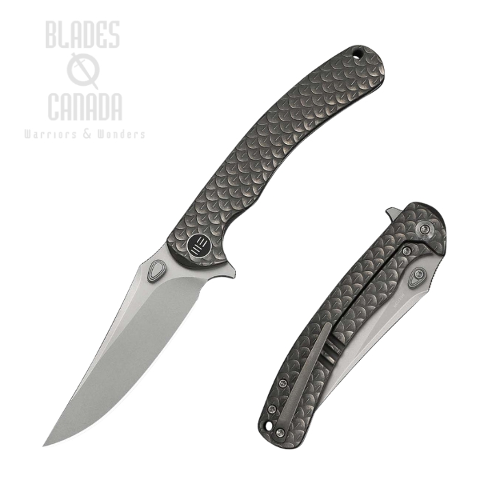 WE Knife Dracarys Flipper Framelock Knife, Limited Edition, M390 SW, Titanium Gray, WE25061B-1 (image for) WE Knife Dracarys Flipper Framelock Knife, Limited Edition, M390 SW, Titanium Gray, WE25061B-1