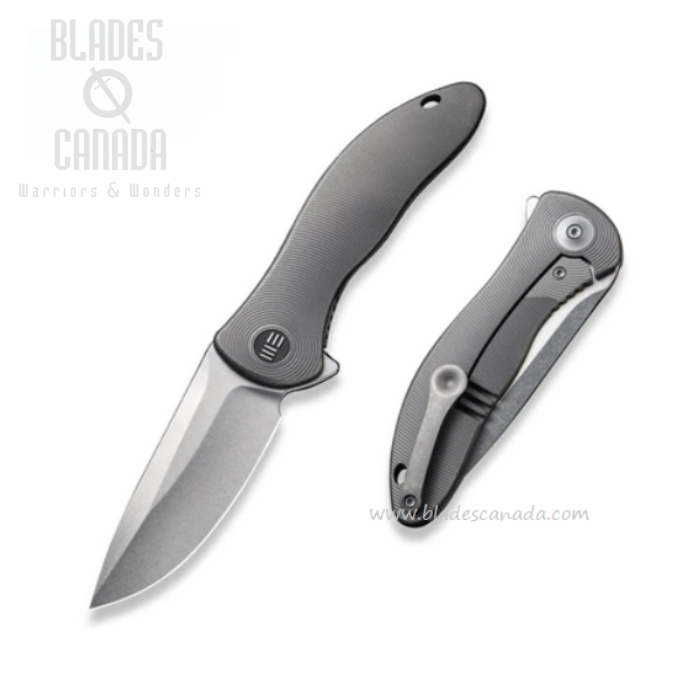 WE Knife Synergy2v2 Flipper Framelock Knife, CPM 20CV SW, Titanium Grey, 18046D-1 WE Knife Synergy2v2 Flipper Framelock Knife, CPM 20CV SW, Titanium Grey, 18046D-1