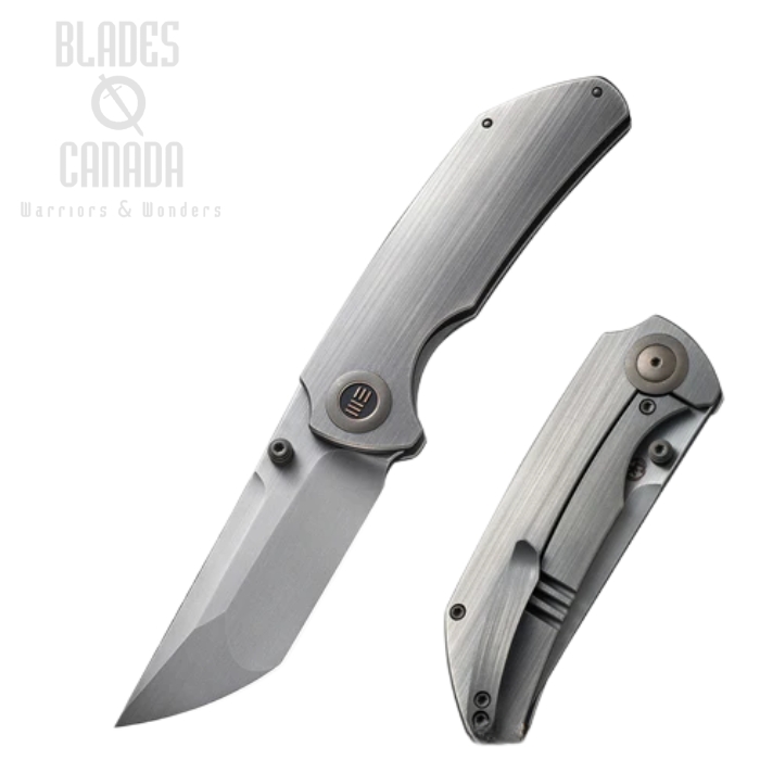 WE Knife Thug XL Flipper Framelock Knife, CPM 20CV, Titanium Grey, 20028D-1 (image for) WE Knife Thug XL Flipper Framelock Knife, CPM 20CV, Titanium Grey, 20028D-1