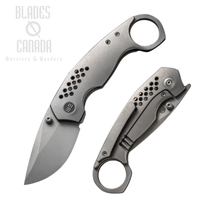 WE Knife Envisage Flipper Framelock Knife, CPM 20CV SW, Titanium, WE22013-1 (image for) WE Knife Envisage Flipper Framelock Knife, CPM 20CV SW, Titanium, WE22013-1
