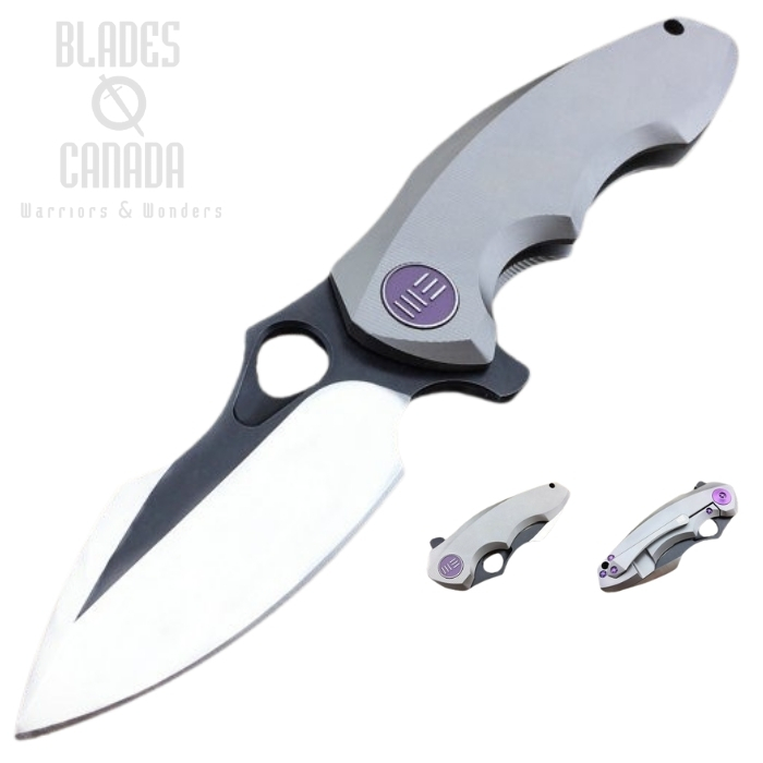 WE Knife 605J Flipper Framelock Knife, S35VN Two-Tone, Titanium Grey, WE605J (image for) WE Knife 605J Flipper Framelock Knife, S35VN Two-Tone, Titanium Grey, WE605J