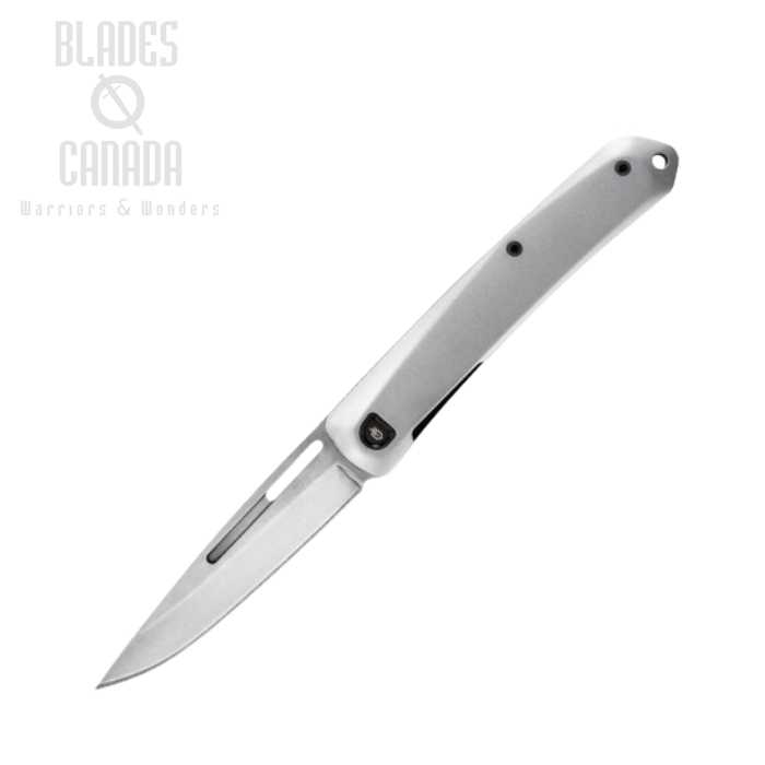 Gerber Affinity Framelock Nailnick Folding Knife, Aluminum Silver Handle, 4059