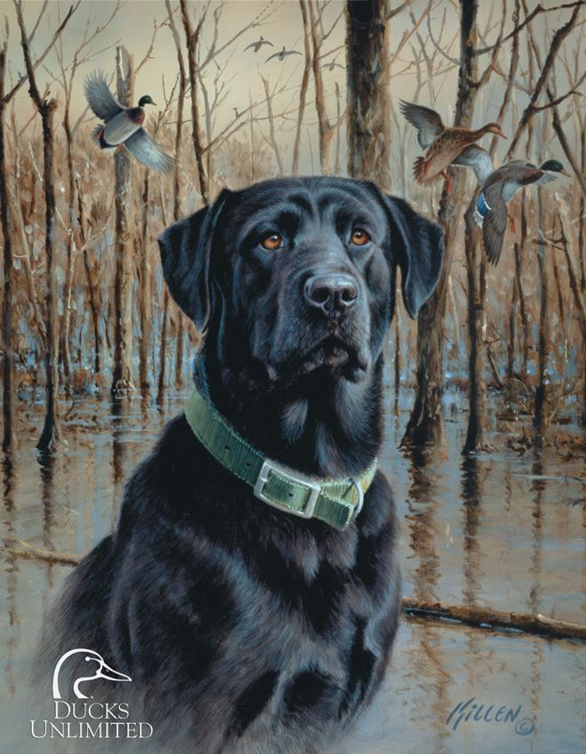Tin Sign 1203 Ducks Unlimited - Great Retreivers