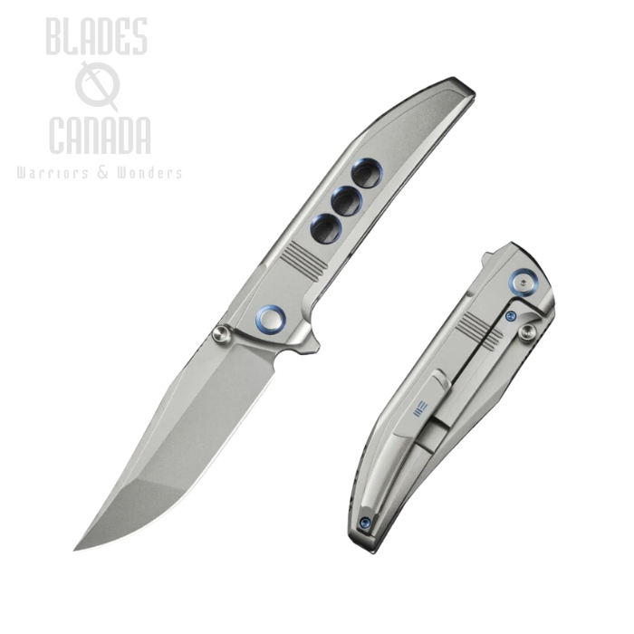 WE Knife Ezinta Framelock Flipper Knife, M390, Titanium Bead Blasted, WE22041-2