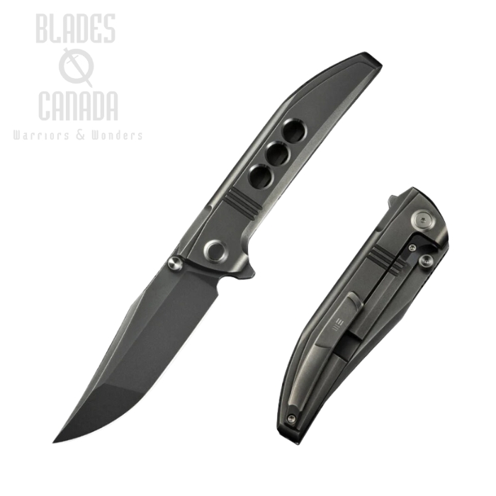 WE Knife Ezinta Framelock Flipper Knife, M390, Titanium Polished Gray, WE22041-3