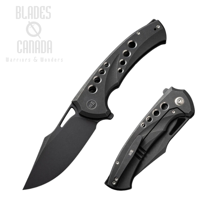 WE Knife Swiftfin Flipper Folding Knife, CPM 20CV Black, Titanium Black, WE23051-1