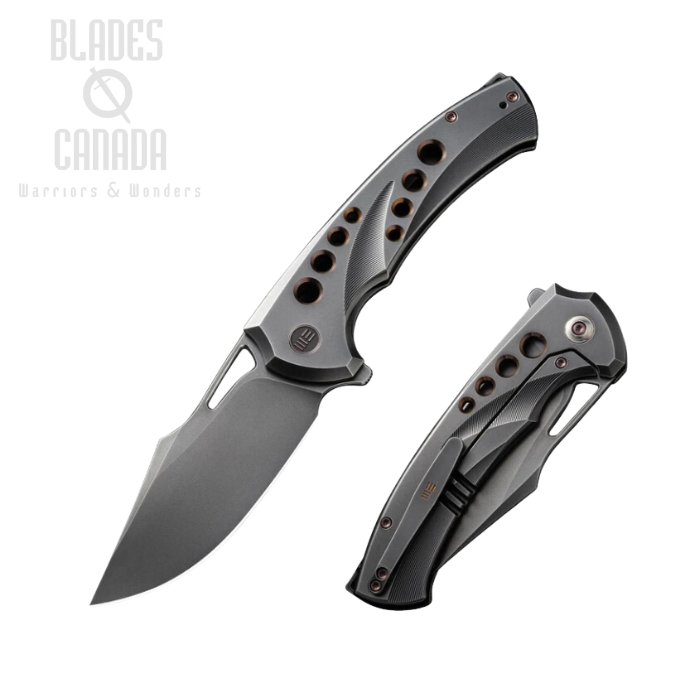 WE Knife Swiftfin Flipper Folding Knife, CPM 20CV Gray, Titanium Gray/Golden, WE23051-3